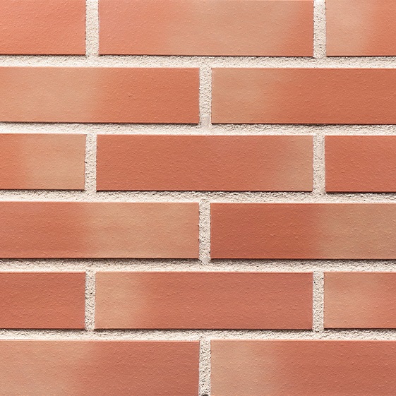 RF10, Sunny shore 09