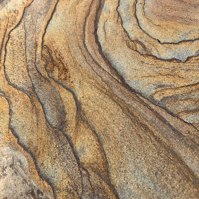 Стандарт тигровый желтый