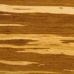 Бамбук Зебра